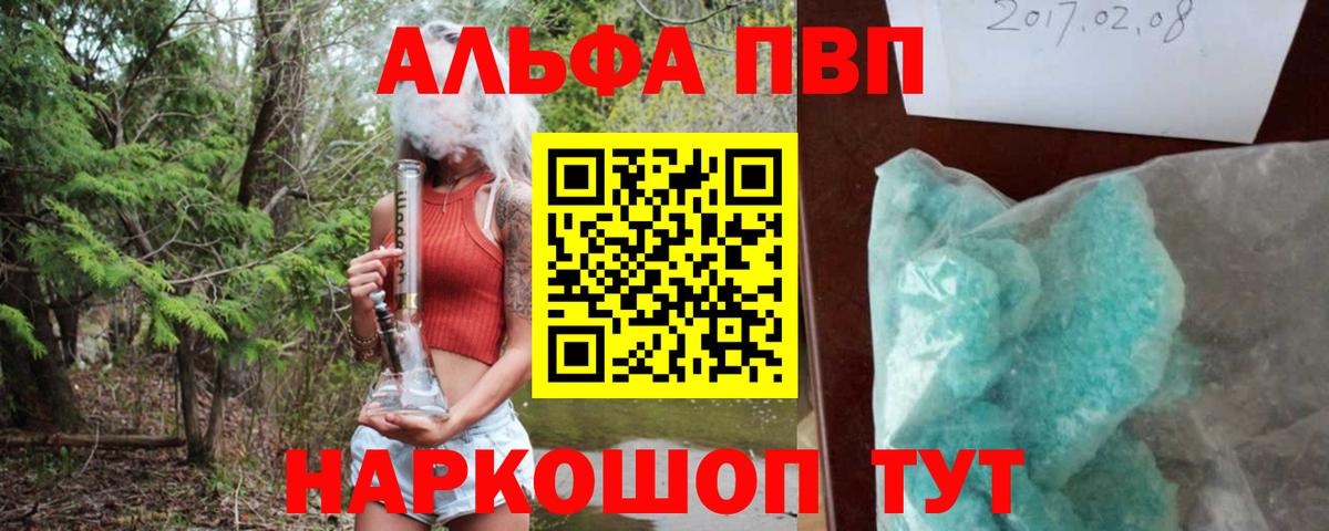 А ПВП СК Луга