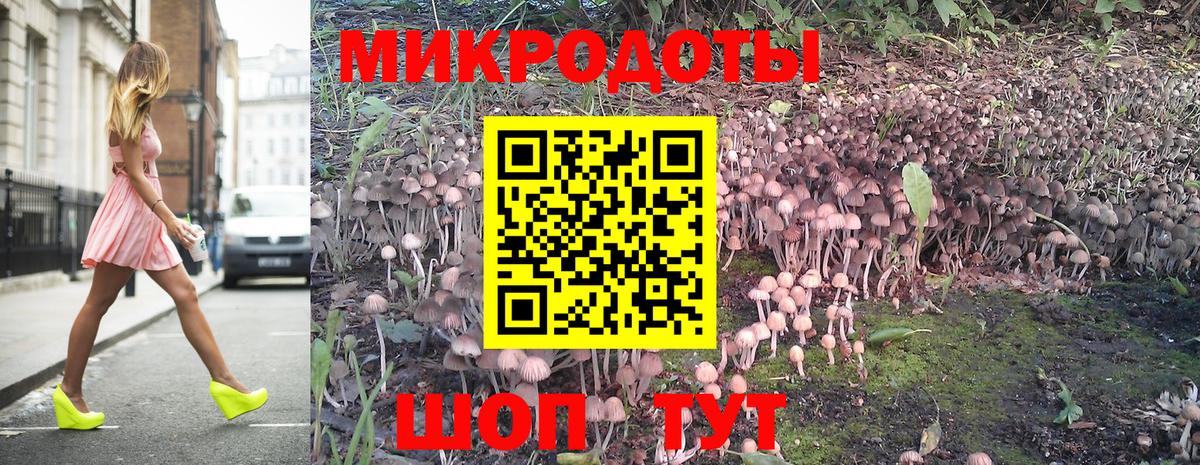 Псилоцибиновые грибы Psilocybine cubensis Луга