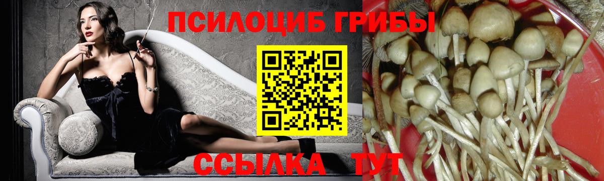 Псилоцибиновые грибы Cubensis  закладки  Луга  Вход с VPN 